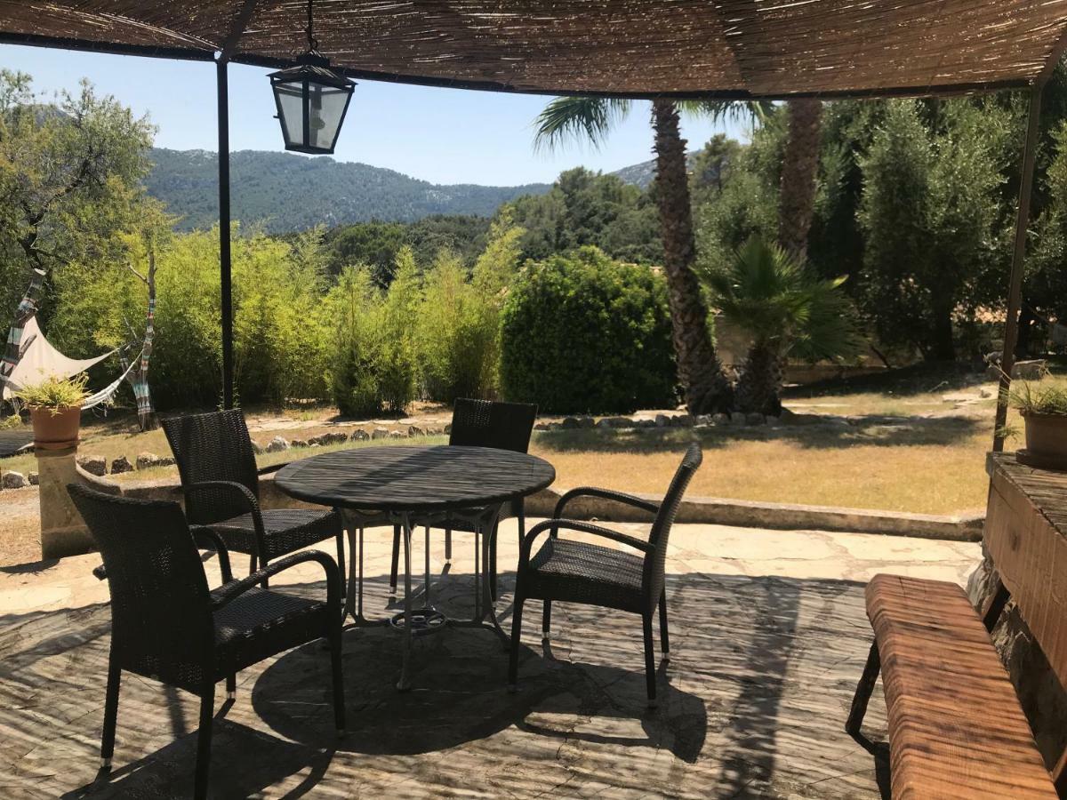 Petrel Holiday home *